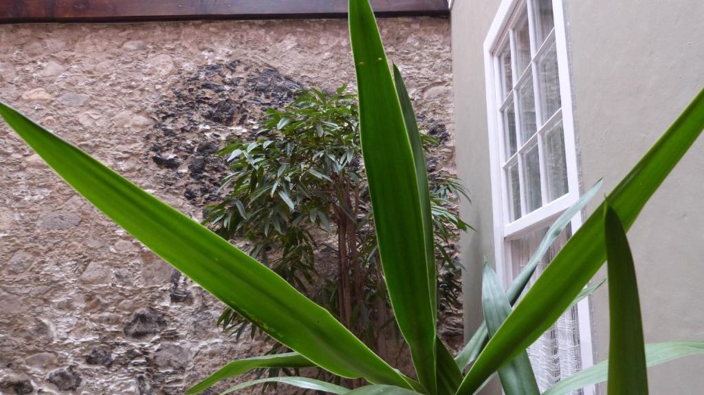 La Casa De Vegueta Apartman Las Palmas de Gran Canaria Kültér fotó