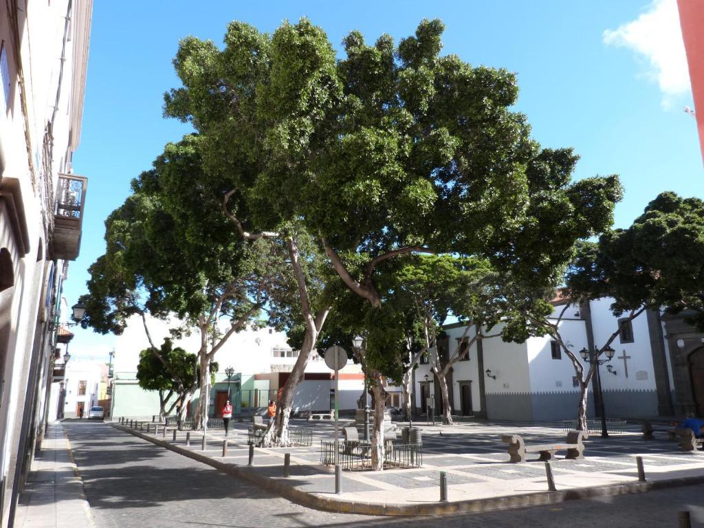 La Casa De Vegueta Apartman Las Palmas de Gran Canaria Kültér fotó